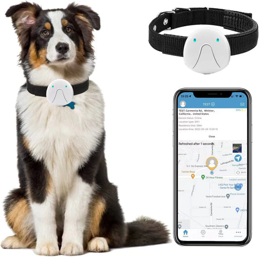 WhiteBox Paws Geo Track Collar: Advanced GPS Dog Position Tracker